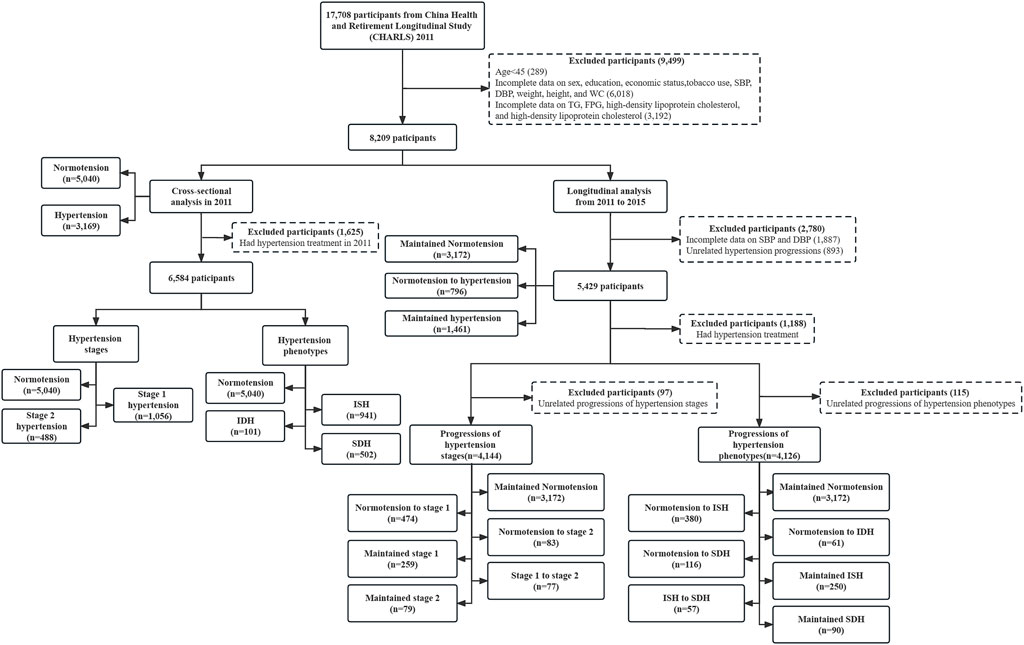ssph-associations-of-the-triglyceride-and-glucose-index-with-hypertension-stages-phenotypes-and-their-progressions-among-middle-aged-and-older-chinese